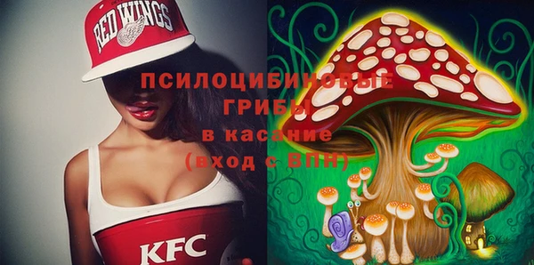 прущая мука Ладушкин