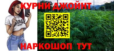прущие крисы Гай