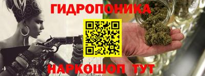 прущие крисы Гай