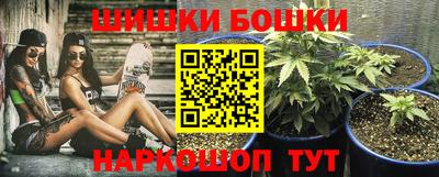 прущие крисы Гай
