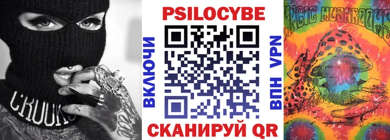 Галлюциногенные грибы Psilocybe  Полысаево 