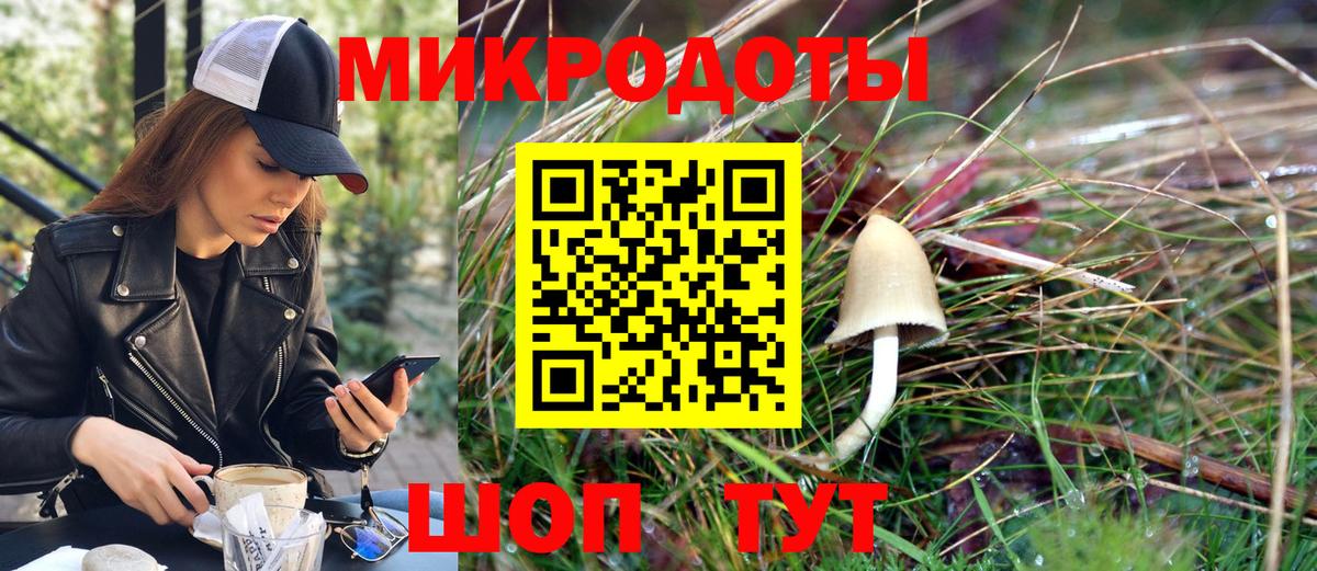 Псилоцибиновые грибы Psilocybe Полысаево