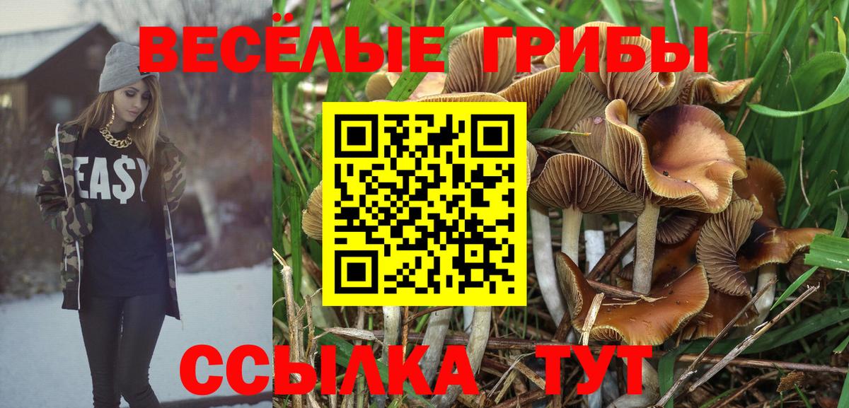 Псилоцибиновые грибы Magic Shrooms  Вход с VPN  купить наркоту  Полысаево 
