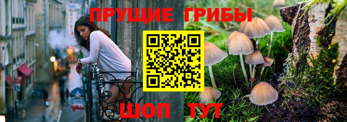 купить наркотики сайты  Полысаево  Галлюциногенные грибы ЛСД 